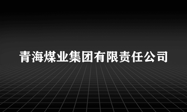 青海煤业集团有限责任公司