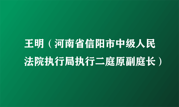 王明（河南省信阳市中级人民法院执行局执行二庭原副庭长）