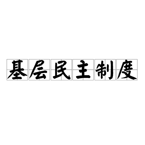 基层民主制度