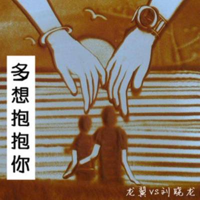 多想抱抱你（龙翼、刘晓龙演唱歌曲）