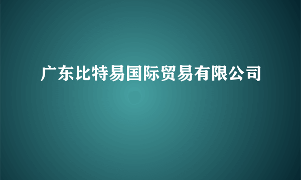 广东比特易国际贸易有限公司