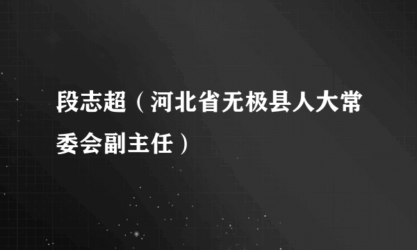 段志超（河北省无极县人大常委会副主任）