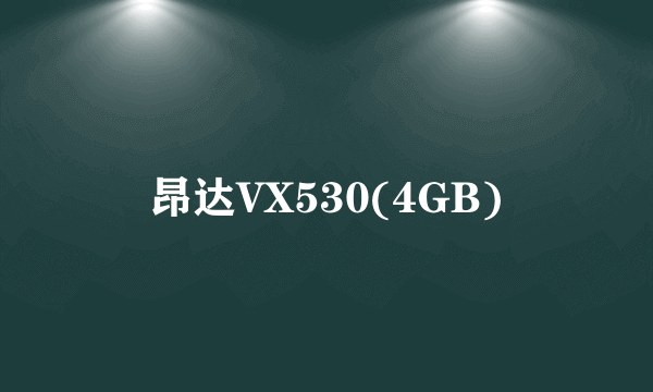 昂达VX530(4GB)