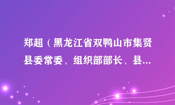 郑超（黑龙江省双鸭山市集贤县委常委、组织部部长、县委党校第一副校长）