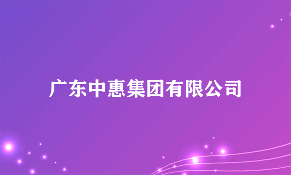 广东中惠集团有限公司