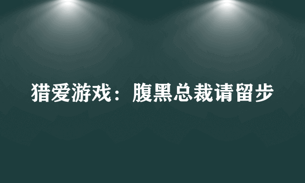 猎爱游戏：腹黑总裁请留步