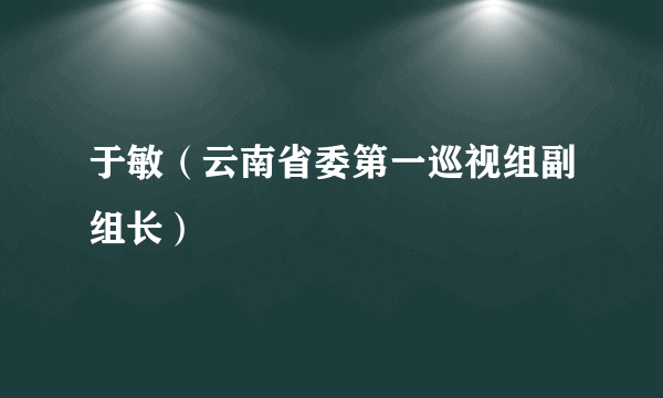 于敏（云南省委第一巡视组副组长）