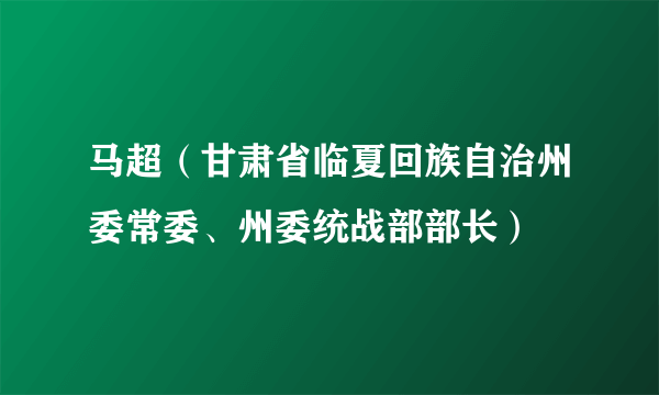 马超（甘肃省临夏回族自治州委常委、州委统战部部长）