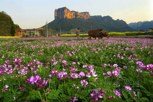 景星（民国时期县城）