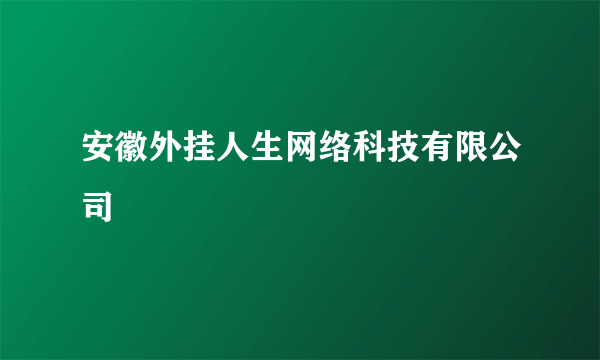 安徽外挂人生网络科技有限公司