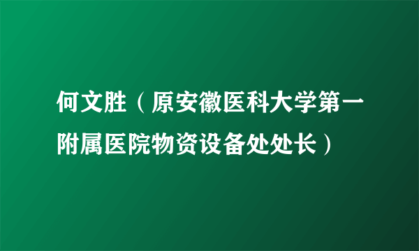 何文胜（原安徽医科大学第一附属医院物资设备处处长）