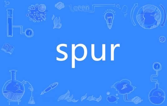 spur（英语单词）