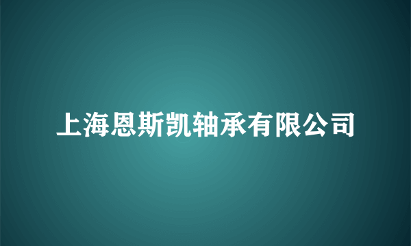 上海恩斯凯轴承有限公司