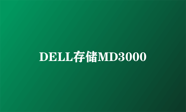 DELL存储MD3000