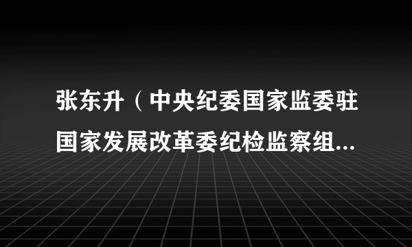 张东升（中央纪委国家监委驻国家发展改革委纪检监察组副组长）