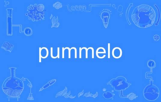 pummelo