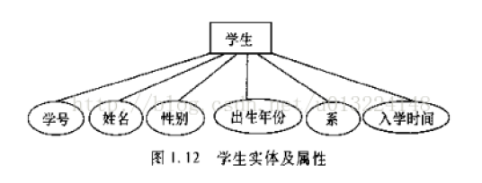 实体（数据库概念）