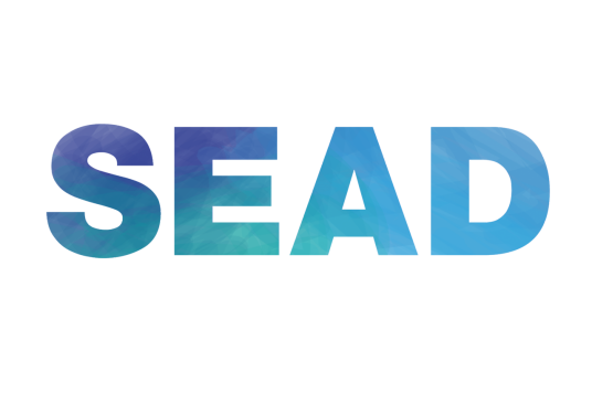 SEAD（大型中学生线下论坛及周边活动）