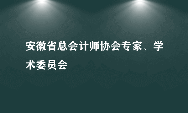 安徽省总会计师协会专家、学术委员会