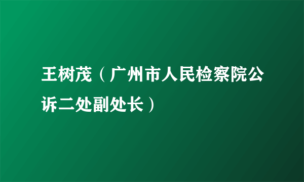 王树茂（广州市人民检察院公诉二处副处长）