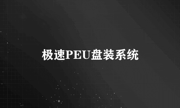 极速PEU盘装系统