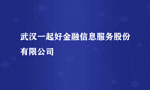 武汉一起好金融信息服务股份有限公司