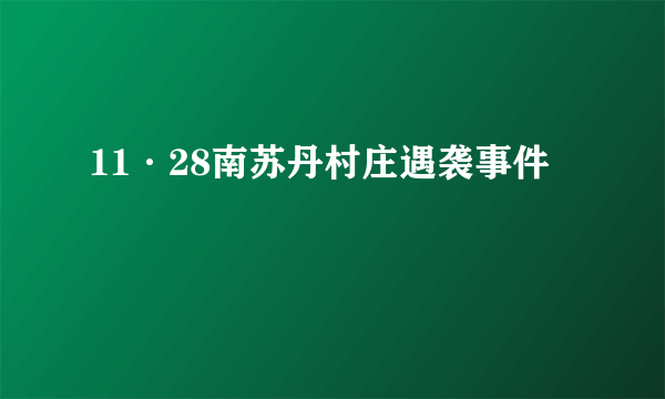 11·28南苏丹村庄遇袭事件