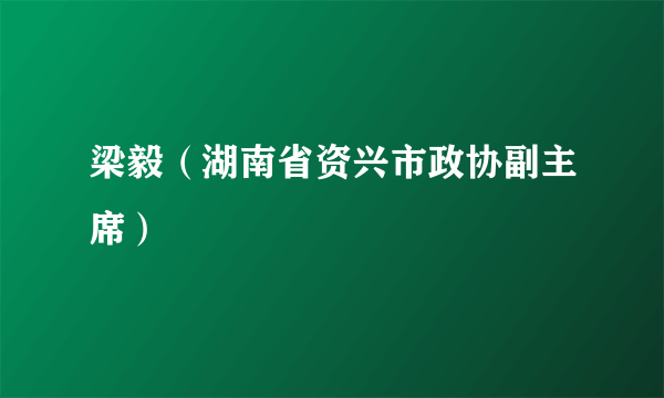 梁毅（湖南省资兴市政协副主席）