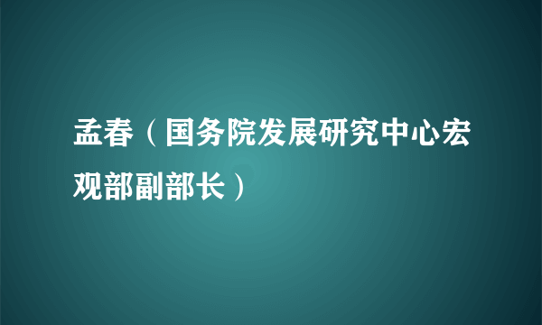 孟春（国务院发展研究中心宏观部副部长）