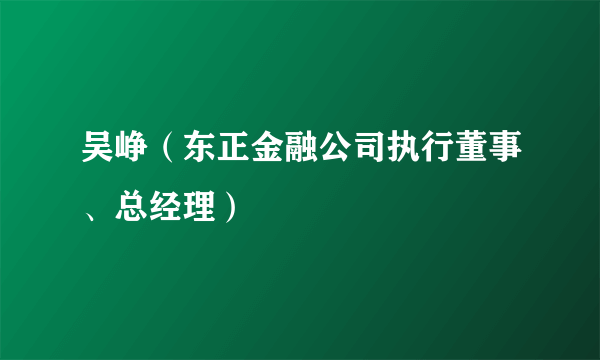 吴峥（东正金融公司执行董事、总经理）