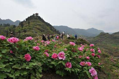 明月山（四川省东部及重庆市明月山）