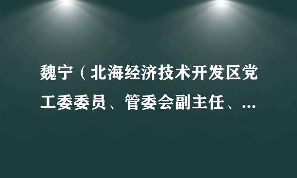 魏宁（北海经济技术开发区党工委委员、管委会副主任、工会主席）