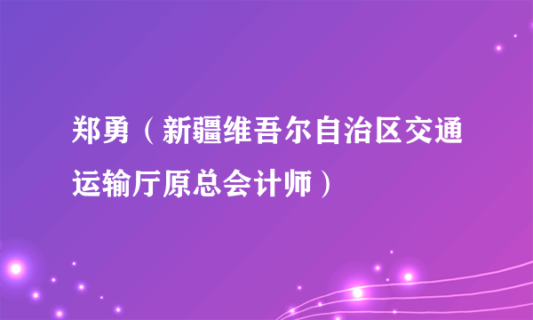 郑勇（新疆维吾尔自治区交通运输厅原总会计师）