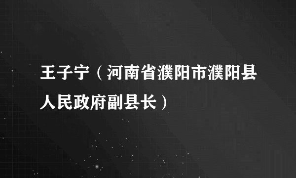 王子宁（河南省濮阳市濮阳县人民政府副县长）