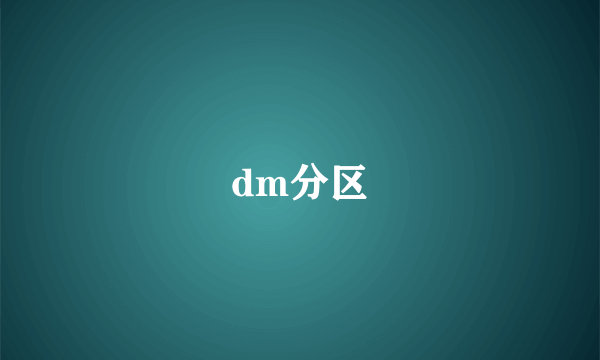 dm分区