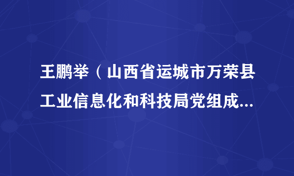 王鹏举（山西省运城市万荣县工业信息化和科技局党组成员、二级主任科员）