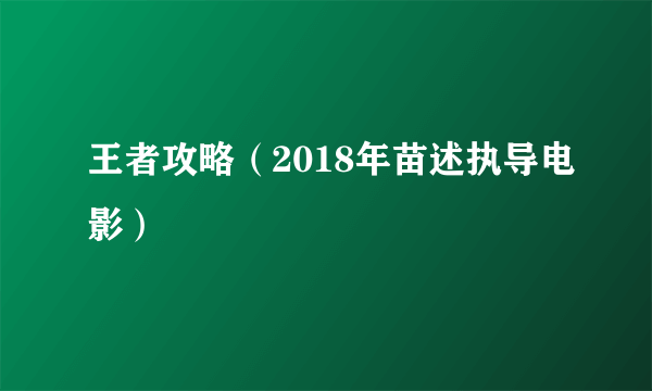 王者攻略（2018年苗述执导电影）