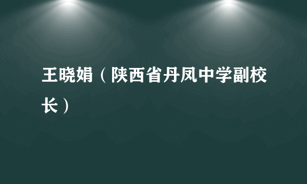 王晓娟（陕西省丹凤中学副校长）