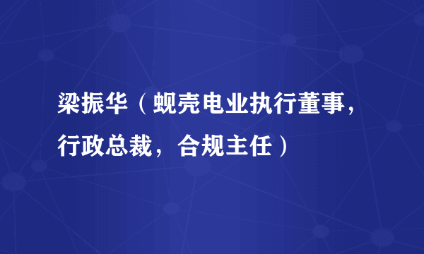 梁振华（蚬壳电业执行董事，行政总裁，合规主任）