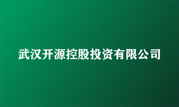 武汉开源控股投资有限公司