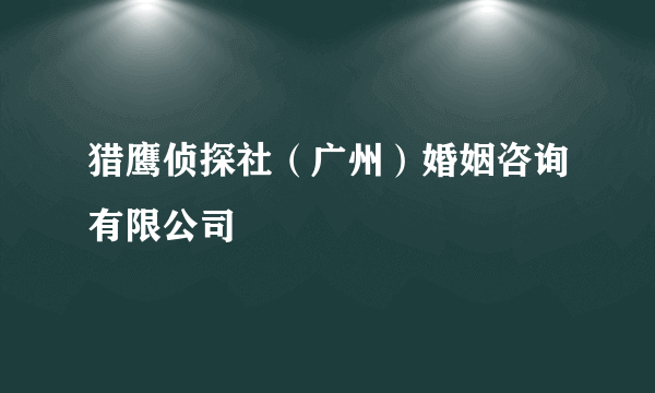 猎鹰侦探社（广州）婚姻咨询有限公司