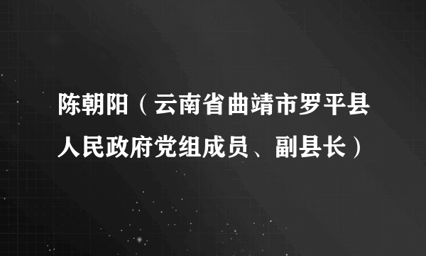 陈朝阳（云南省曲靖市罗平县人民政府党组成员、副县长）