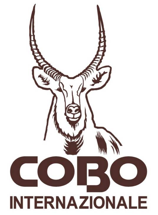 cobo