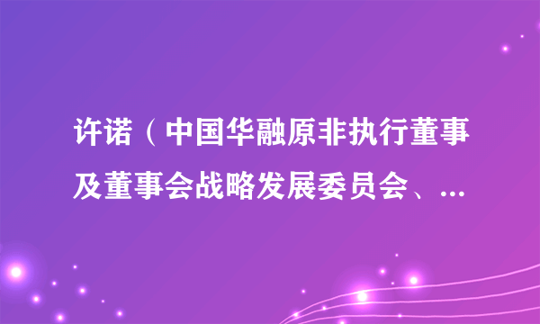 许诺（中国华融原非执行董事及董事会战略发展委员会、风险管理委员会和审计委员会委员）