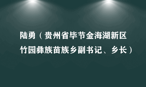 陆勇（贵州省毕节金海湖新区竹园彝族苗族乡副书记、乡长）