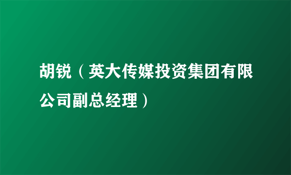 胡锐（英大传媒投资集团有限公司副总经理）