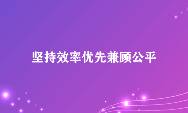 坚持效率优先兼顾公平