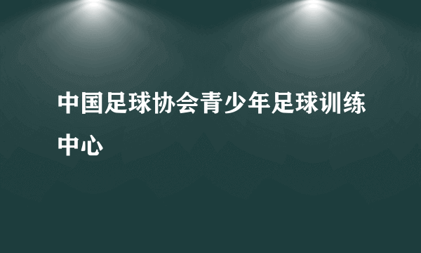 中国足球协会青少年足球训练中心