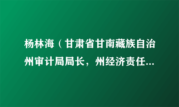 杨林海（甘肃省甘南藏族自治州审计局局长，州经济责任审计局局长）