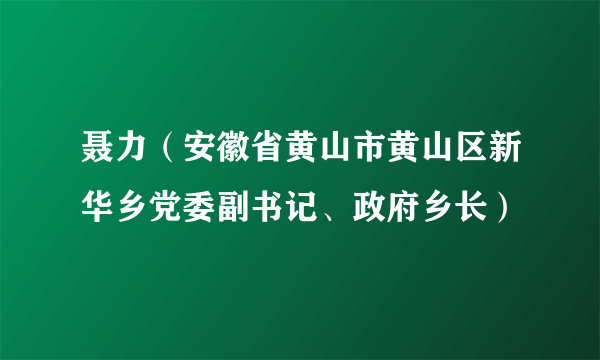 聂力（安徽省黄山市黄山区新华乡党委副书记、政府乡长）